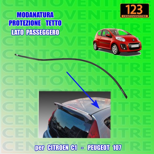 Profilo tetto lato - , destro